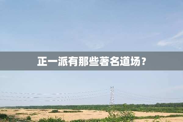 正一派有那些著名道场？