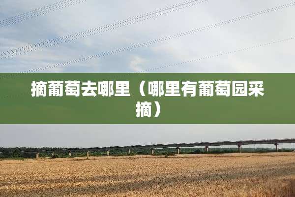 摘葡萄去哪里（哪里有葡萄园采摘）