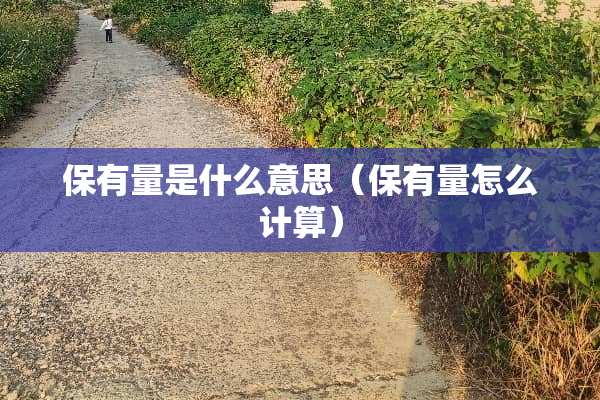保有量是什么意思（保有量怎么计算）
