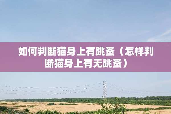 如何判断猫身上有跳蚤（怎样判断猫身上有无跳蚤）