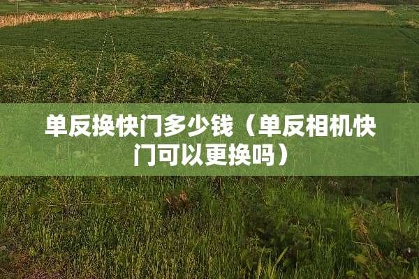 单反换快门多少钱（单反相机快门可以更换吗）