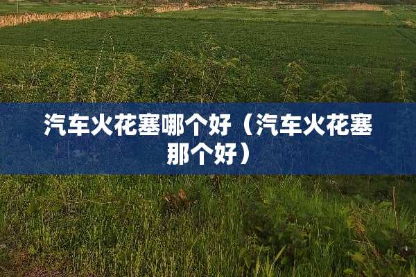 汽车火花塞哪个好（汽车火花塞那个好）