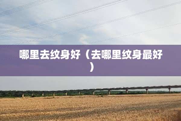 哪里去纹身好（去哪里纹身最好）