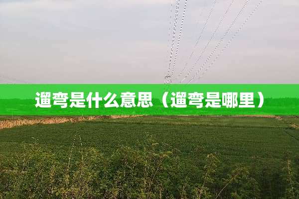 遛弯是什么意思（遛弯是哪里）