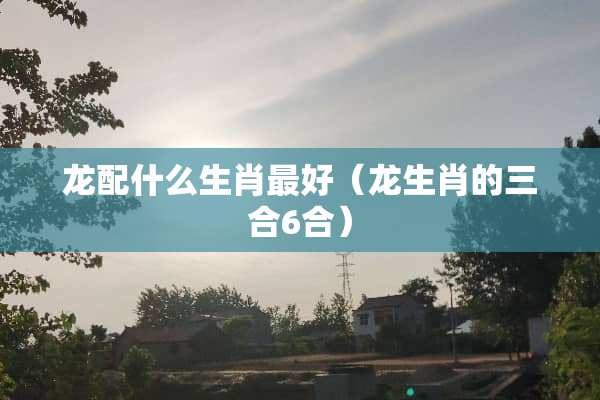龙配什么生肖最好（龙生肖的三合**）