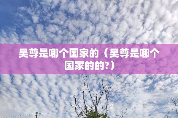 吴尊是哪个国家的（吴尊是哪个国家的的?）