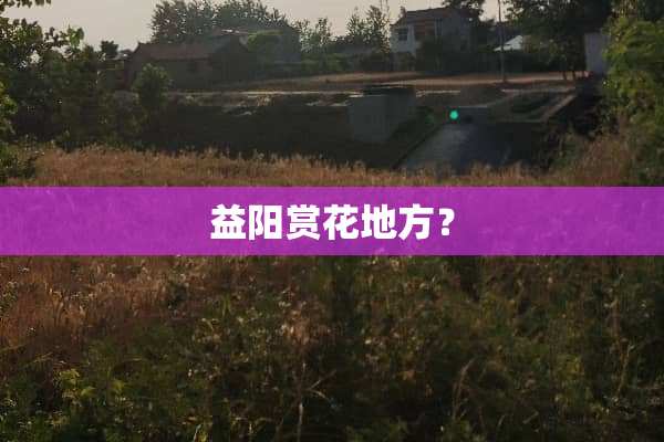 益阳赏花地方？