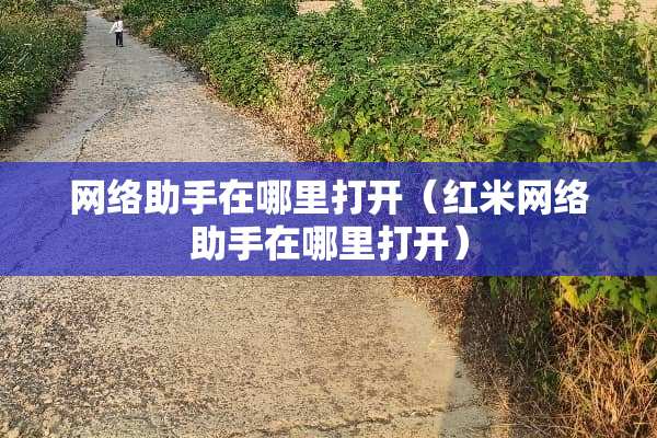 网络助手在哪里打开（红米网络助手在哪里打开）