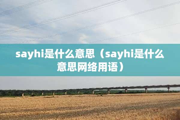 sayhi是什么意思（sayhi是什么意思网络用语）