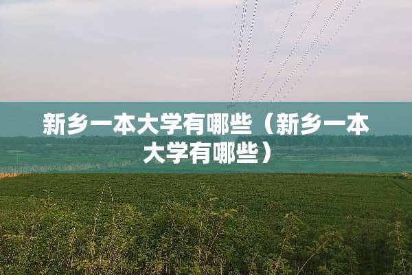 新乡一本大学有哪些（新乡一本大学有哪些）