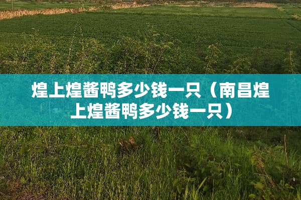 煌上煌酱鸭多少钱一只（南昌煌上煌酱鸭多少钱一只）