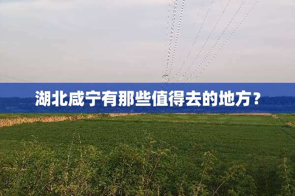 湖北咸宁有那些值得去的地方？