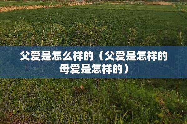 父爱是怎么样的（父爱是怎样的母爱是怎样的）