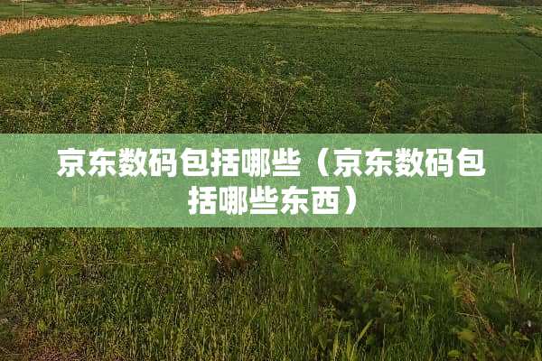 京东数码包括哪些（京东数码包括哪些东西）