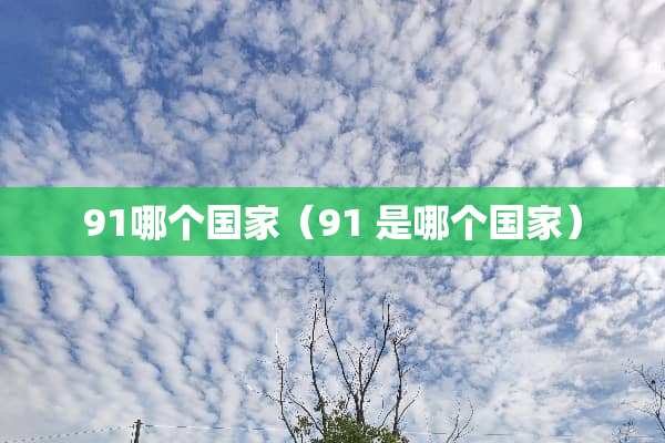 91哪个国家（91 是哪个国家）