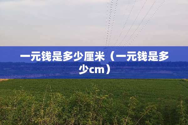 一元钱是多少厘米（一元钱是多少cm）