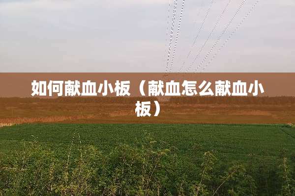如何献血小板（献血怎么献血小板）