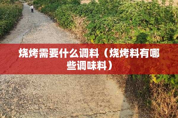 烧烤需要什么调料（烧烤料有哪些调味料）