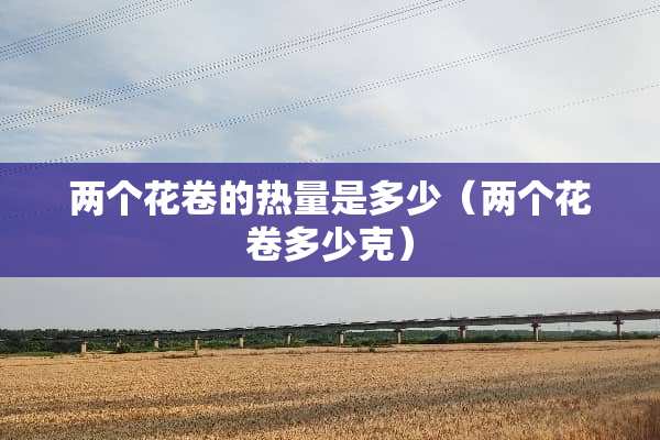 两个花卷的热量是多少（两个花卷多少克）