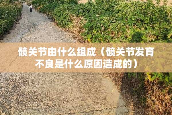 髋关节由什么组成（髋关节发育**是什么原因造成的）