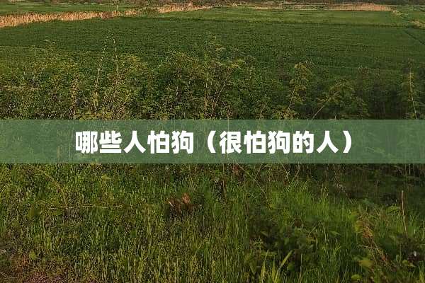 哪些人怕狗（很怕狗的人）