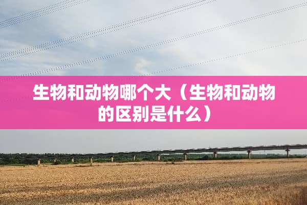 生物和动物哪个大（生物和动物的区别是什么）