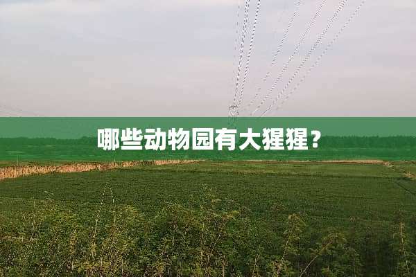 哪些动物园有大猩猩？