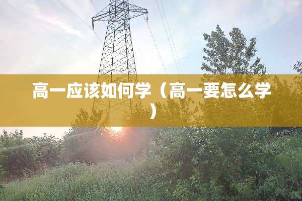高一应该如何学（高一要怎么学）