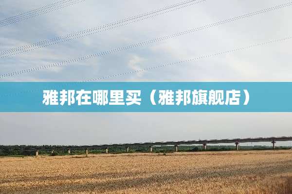 雅邦在哪里买（雅邦旗舰店）