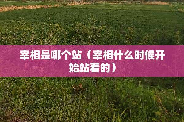 宰相是哪个站（宰相什么时候开始站着的）