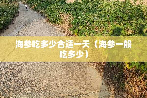 海参吃多少合适一天（海参一般吃多少）