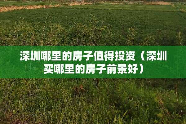 深圳哪里的房子值得投资（深圳买哪里的房子前景好）
