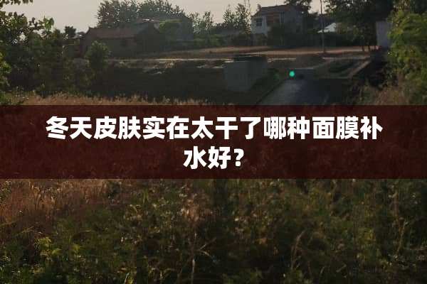 冬天皮肤实在太干了哪种面膜补水好？
