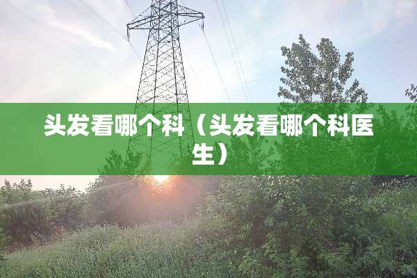 头发看哪个科（头发看哪个科医生）