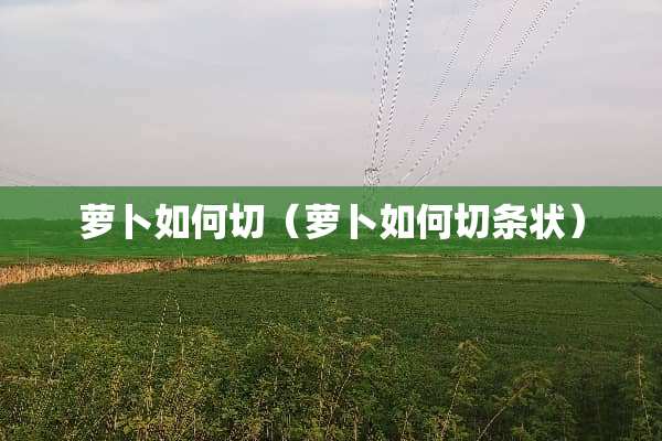 萝卜如何切（萝卜如何切条状）