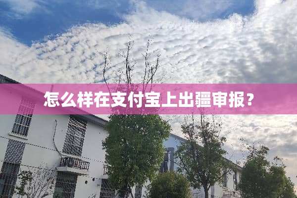 怎么样在支付宝上出疆审报？