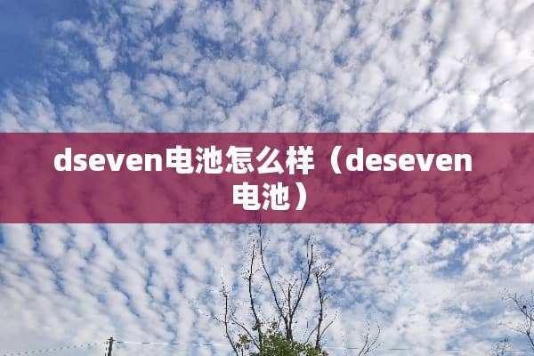 dseven电池怎么样（deseven 电池）