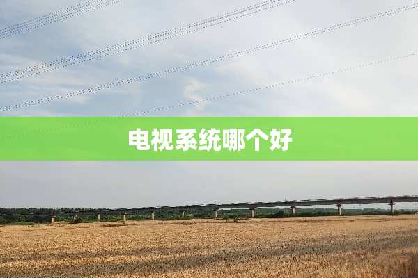 电视系统哪个好