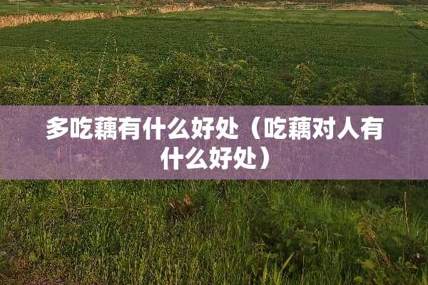 多吃藕有什么好处（吃藕对人有什么好处）