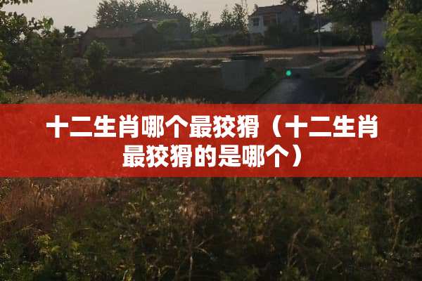 十二生肖哪个最狡猾（十二生肖最狡猾的是哪个）