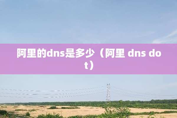 阿里的dns是多少（阿里 dns dot）