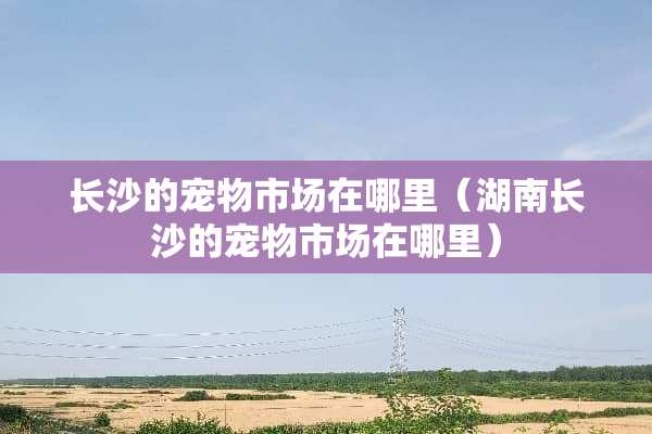长沙的宠物市场在哪里（湖南长沙的宠物市场在哪里）