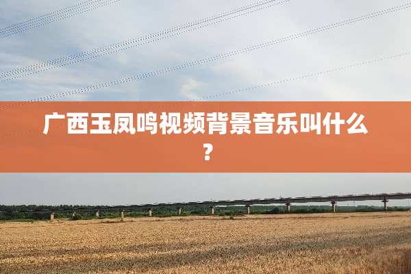 广西玉凤鸣视频背景音乐叫什么？