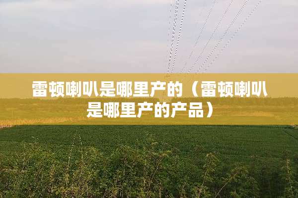 雷顿喇叭是哪里产的（雷顿喇叭是哪里产的产品）