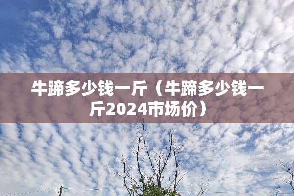 牛蹄多少钱一斤（牛蹄多少钱一斤2024市场价）