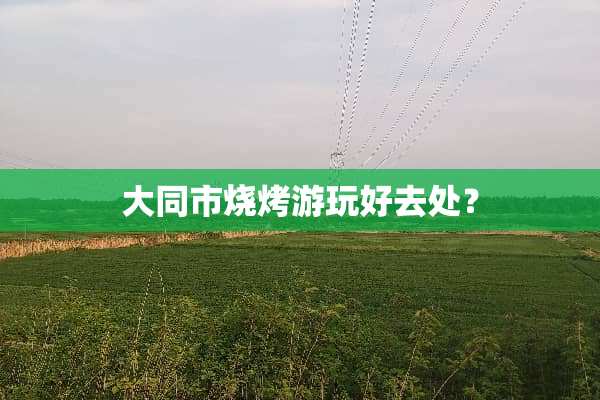 大同市烧烤游玩好去处？