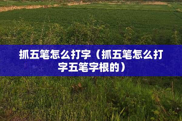 抓五笔怎么打字（抓五笔怎么打字五笔字根的）
