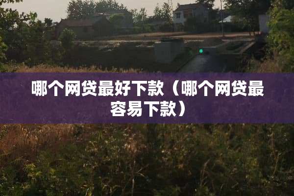 哪个**最好下款（哪个**最容易下款）