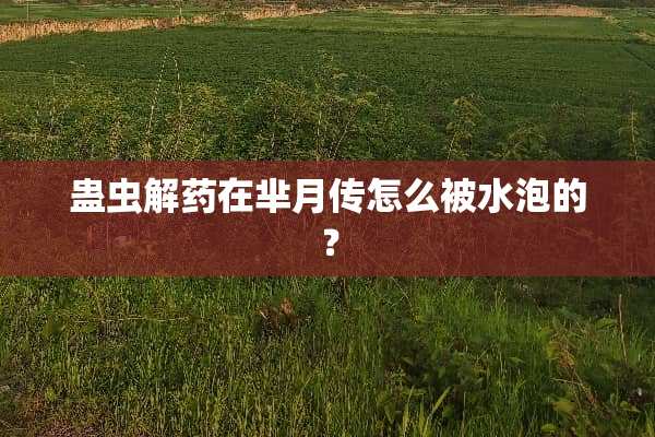 蛊虫解药在芈月传怎么被水泡的？