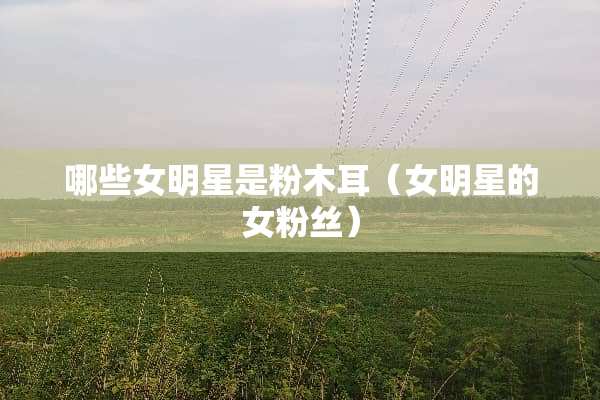 哪些女明星是粉木耳（女明星的女粉丝）
